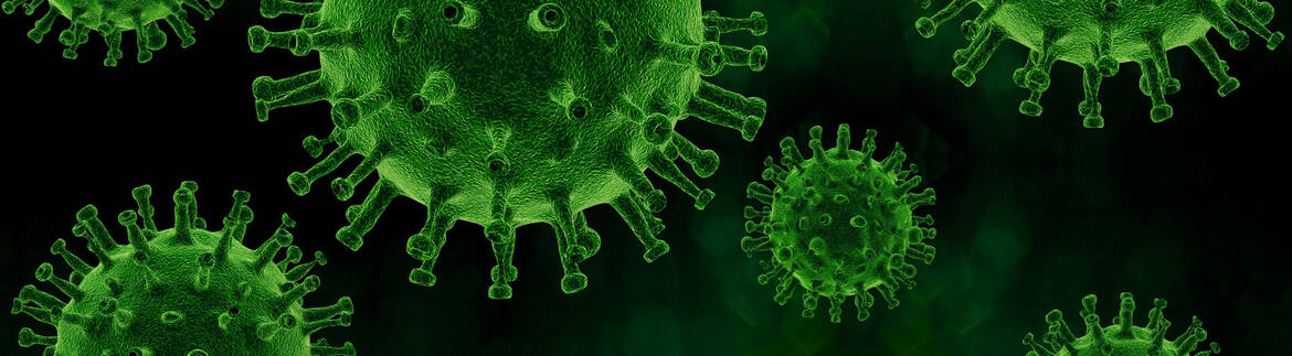 header-coronavirus-cc0-piro4d-via-pixabay