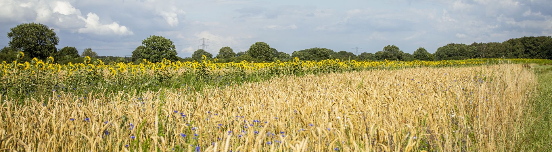header-la-na-natuurboerderij-velhorst