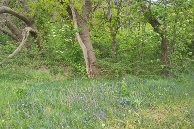 img-20260508-163722-pv-web