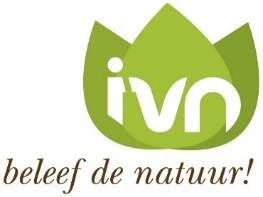 logo-ivn-klein