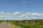 web-la-landscape-4332867-cc0-eveline-de-bruin-via-pixabay