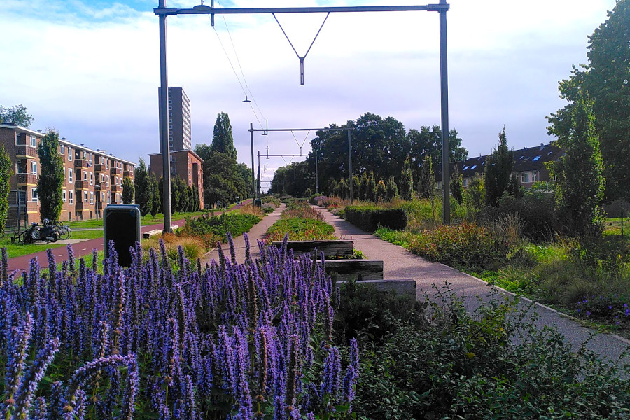 web-stad-klimaatadaptatie-utrecht-via-joost-bewerkt