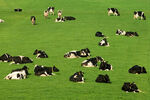 Foto: Michiel Wijnbergh
